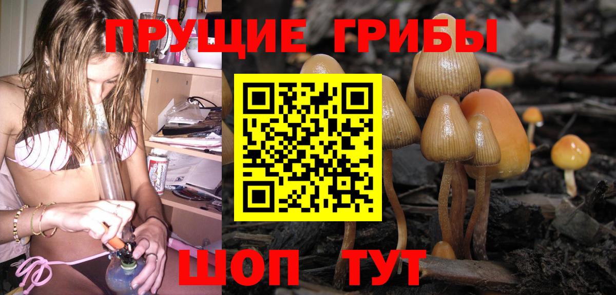 Псилоцибиновые грибы ЛСД  дарнет шоп  Соль-Илецк  Вход с VPN 