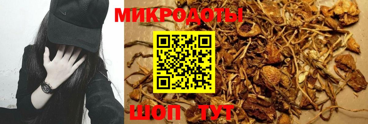 Псилоцибиновые грибы прущие грибы Соль-Илецк